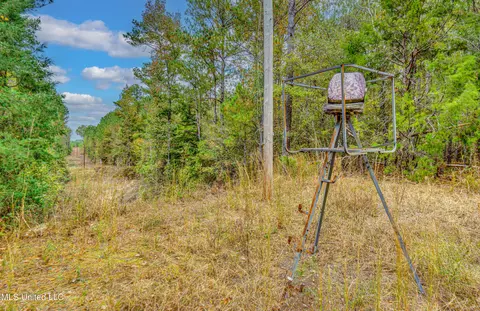 Other - 261 Millville Rd, Canton, MS 39046 photo 35 of 39
