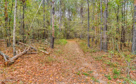 Other - 261 Millville Rd, Canton, MS 39046 photo 37 of 39