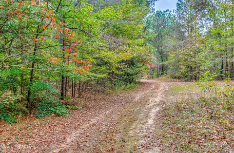 Other - 261 Millville Rd, Canton, MS 39046 photo 30 of 39