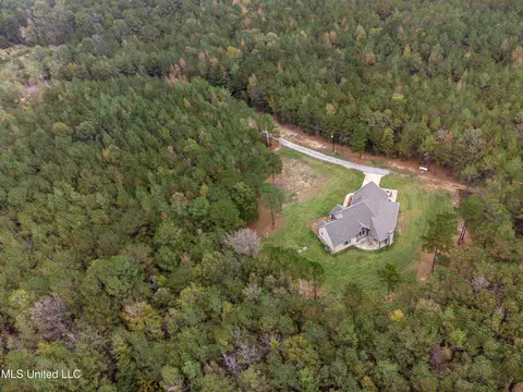 View/Area - 261 Millville Rd, Canton, MS 39046 photo 5 of 17