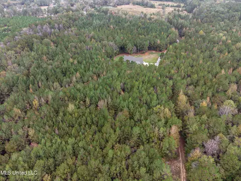 View/Area - 261 Millville Rd, Canton, MS 39046 photo 11 of 17