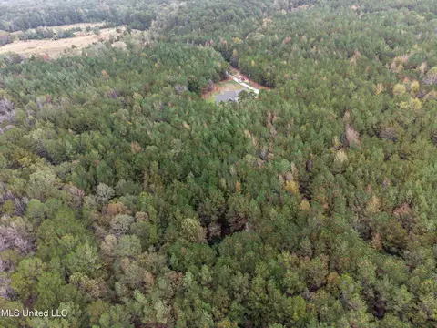 Other - 261 Millville Rd, Canton, MS 39046 photo 4 of 39