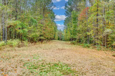 Other - 261 Millville Rd, Canton, MS 39046 photo 38 of 39