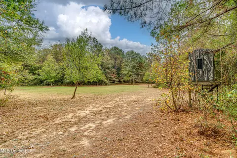 Exterior - 261 Millville Rd, Canton, MS 39046 photo 14 of 15