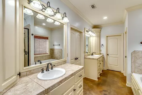 Bath - 128 Amethyst Ln, Brandon, MS 39047 photo 2 of 7