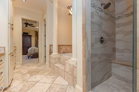 Bath - 102 Vinca Dr, Madison, MS 39110 photo 3 of 5