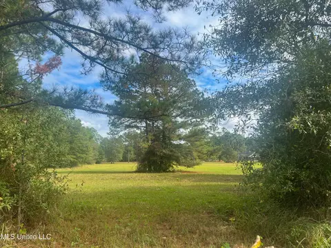 8 Ac Lloyd Eubanks Rd, Lucedale, MS 39452 photo 6