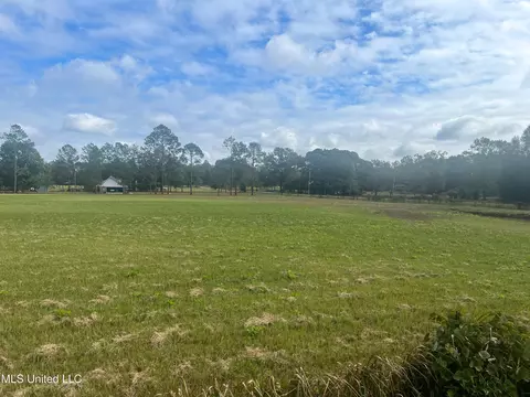 8 Ac Lloyd Eubanks Rd, Lucedale, MS 39452 photo 5