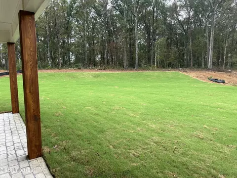 Exterior - 306 Chapel Crest Cv, Madison, MS 39110 photo 3 of 3