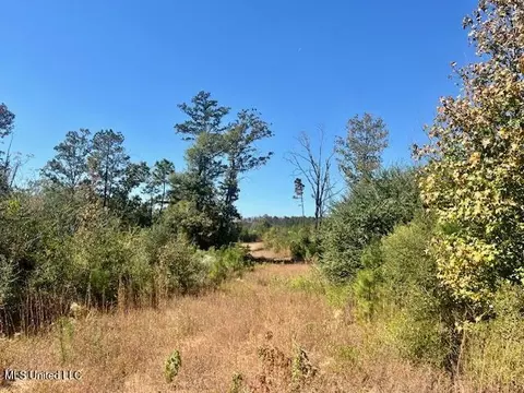33 Watts Bennett Cir, Oak Vale, MS 39656 photo 32