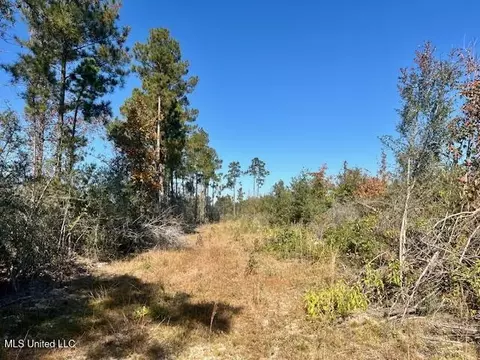 33 Watts Bennett Cir, Oak Vale, MS 39656 photo 25