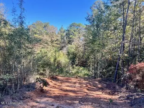 33 Watts Bennett Cir, Oak Vale, MS 39656 photo 33