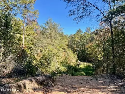 33 Watts Bennett Cir, Oak Vale, MS 39656 photo 29
