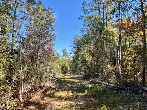 33 Watts Bennett Cir, Oak Vale, MS 39656 photo 31