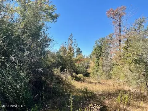 33 Watts Bennett Cir, Oak Vale, MS 39656 photo 27