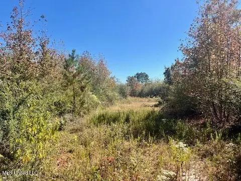 33 Watts Bennett Cir, Oak Vale, MS 39656 photo 35