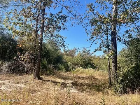 33 Watts Bennett Cir, Oak Vale, MS 39656 photo 37