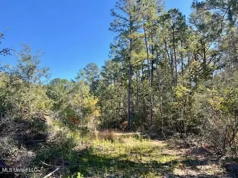 33 Watts Bennett Cir, Oak Vale, MS 39656 photo 34