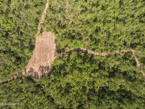 Herman Ladner Road, Saucier, MS 39574 photo 9