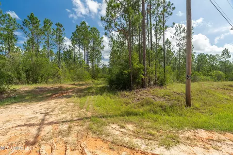 Herman Ladner Road, Saucier, MS 39574 photo 4