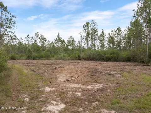 Herman Ladner Road, Saucier, MS 39574 photo 8