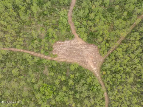 Herman Ladner Road, Saucier, MS 39574 photo 10