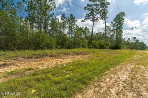Herman Ladner Road, Saucier, MS 39574 photo 5
