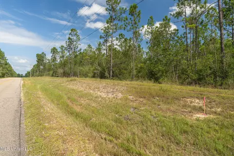 Herman Ladner Road, Saucier, MS 39574 photo 3