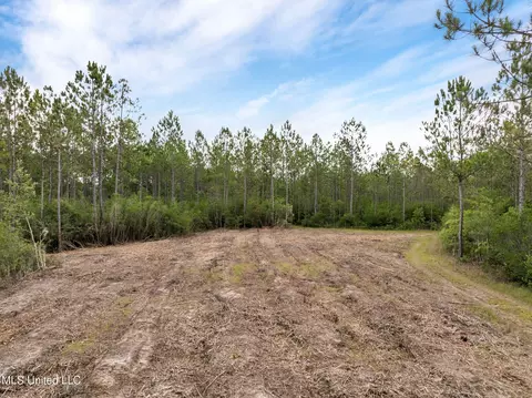 Herman Ladner Road, Saucier, MS 39574 photo 7