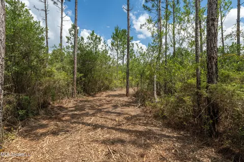 Herman Ladner Road, Saucier, MS 39574 photo 6