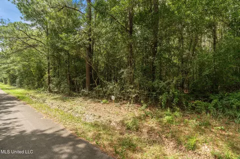 Esther Road, Saucier, MS 39574 photo 3