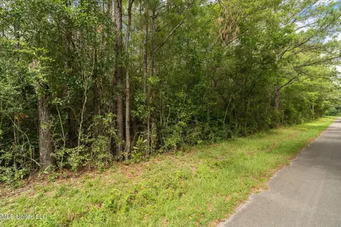 Esther Road, Saucier, MS 39574 photo 4