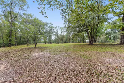 Exterior - 1160 Lucas Rd, Lucedale, MS 39452 photo 4 of 7