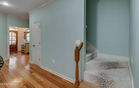 Entry Way - 506 Windsor Dr, Brandon, MS 39047 photo 2 of 3