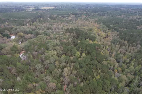 Highway 16, Canton, MS 39046 photo 7