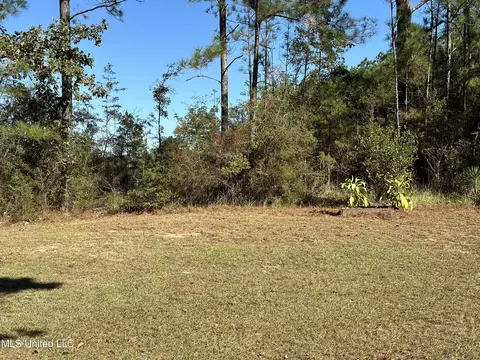 Exterior - 1813 Crutchfield Rd, Lucedale, MS 39452 photo 7 of 8
