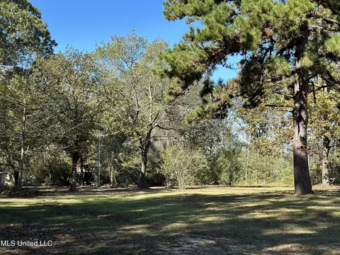 Exterior - 1813 Crutchfield Rd, Lucedale, MS 39452 photo 5 of 8