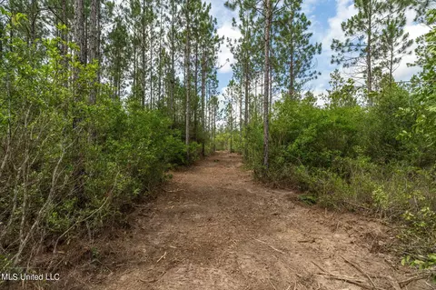 Herman Ladner Road, Saucier, MS 39574 photo 8