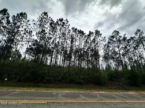 Herman Ladner Road, Saucier, MS 39574 photo 3