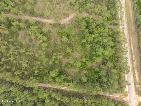 Herman Ladner Road, Saucier, MS 39574 photo 10