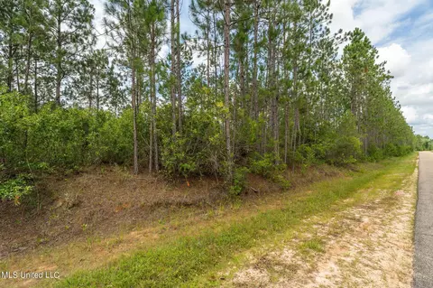 Herman Ladner Road, Saucier, MS 39574 photo 9