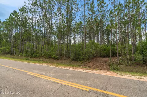 Herman Ladner Road, Saucier, MS 39574 photo 7