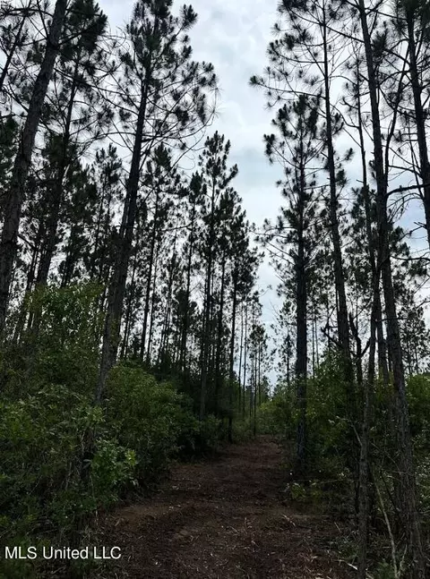 Herman Ladner Road, Saucier, MS 39574 photo 4