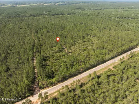 Herman Ladner Road, Saucier, MS 39574 photo 5