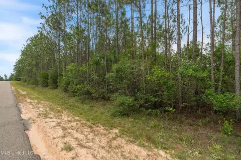 Herman Ladner Road, Saucier, MS 39574 photo 6