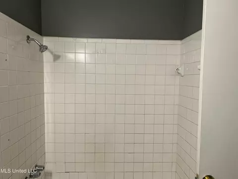 Bath - 5665 Queen Mary Ln, Jackson, MS 39209 photo 2 of 4