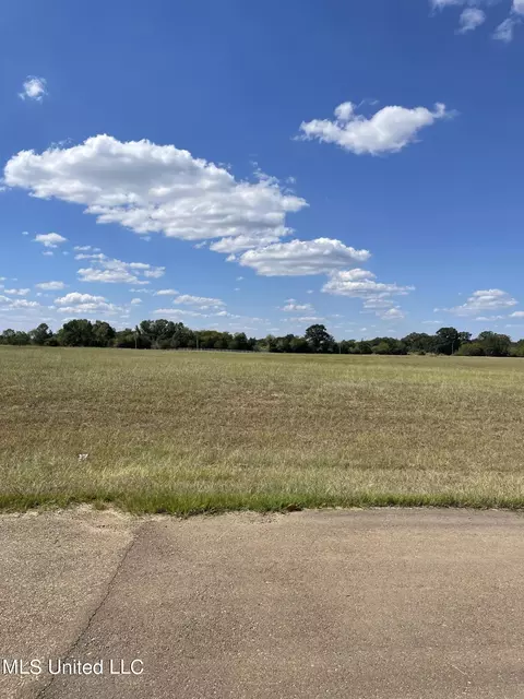 Lovorn Court, Flora, MS 39071 photo 3