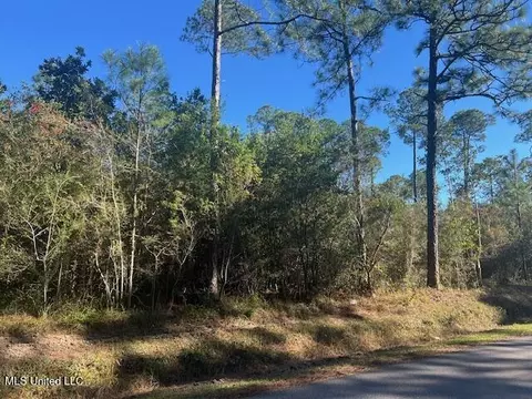 John Smith Road, Vancleave, MS 39565 photo 3