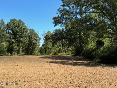 5785 Meadville Rd, Fayette, MS 39069