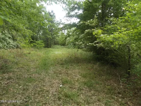 00 White Rd, Fayette, MS 39069